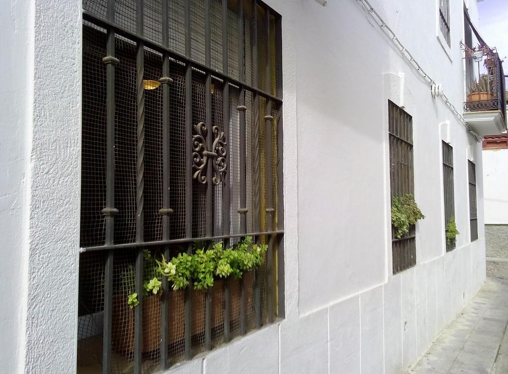 科爾多瓦Apartamento San Agustin公寓 外观 照片